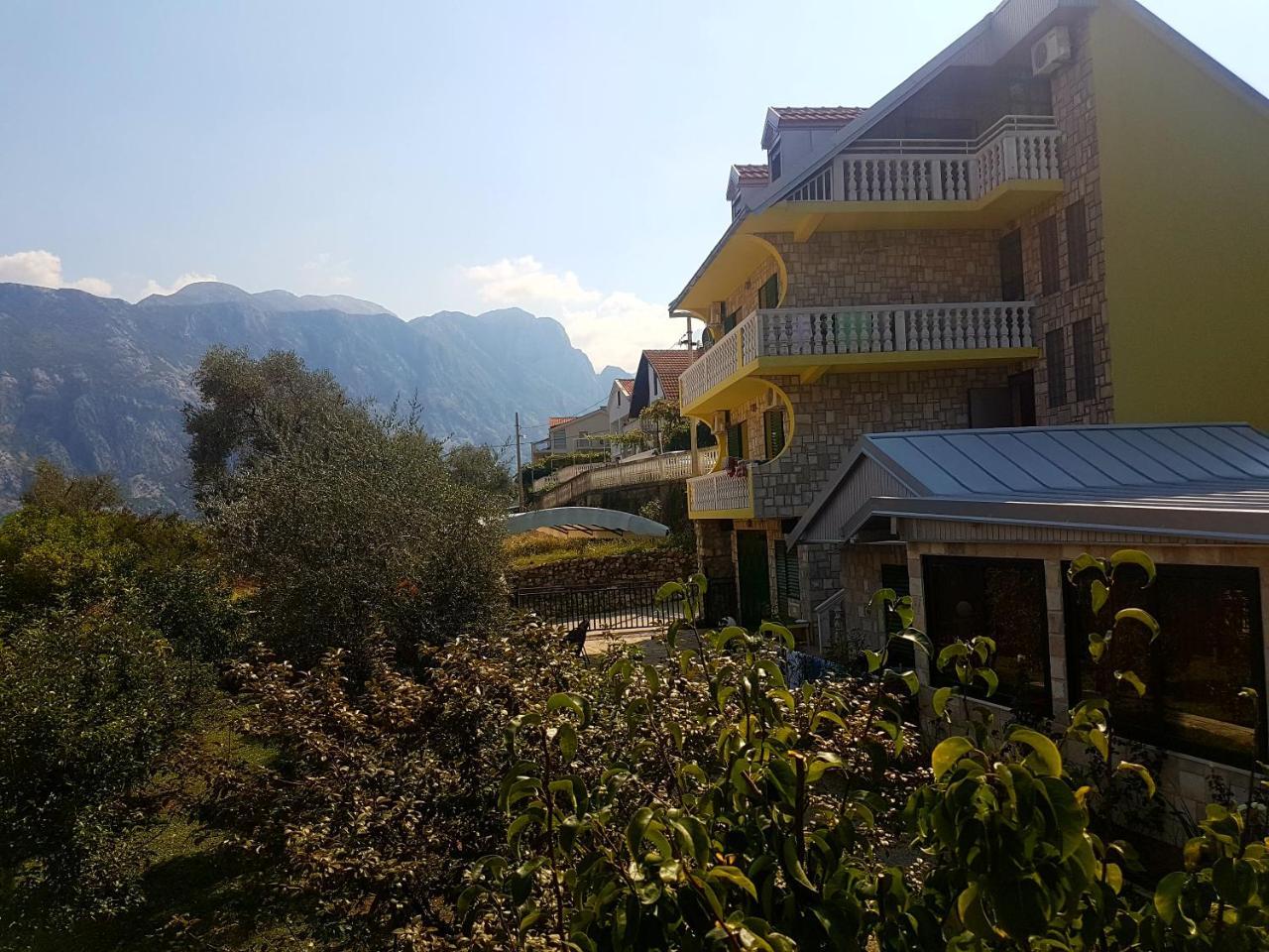 Apartment Ksenija Kotor Eksteriør billede